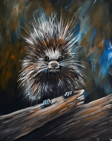“Porcupine” October 22 at Margaritaville Resort.