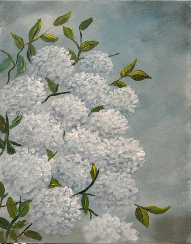 “Soft Hydrangeas “ May 29th at House of Hatches Hyannis