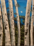Woodpecker in the Birch Trees Virtual Video